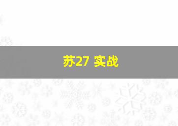 苏27 实战